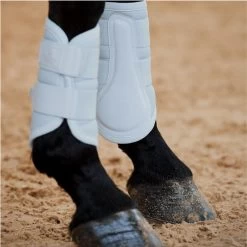 2023 Eskadron Platinum Softshell Saddle Cloth & Mesh Tendon Boots Bundle ESPB1 - Powder Blue -Harness Store 6612 202320Eskadron20Platinum20Mesh20Tendon20Boots2055513966229020 20Powder20Blue20Lifestyle201.2000x2000.700x700