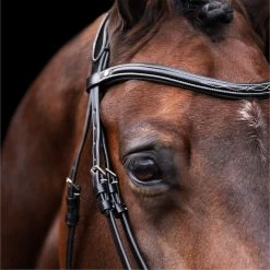 2023 HV Polo Legacy Bridle 1201093500 - Black Colour Black 8 2023 HV Polo Legacy Bridle 1201093500 - Black Colour Black -Harness Store 6920 202320HV20Polo20Legacy20Bridle20120109350020 20Black203.700x700