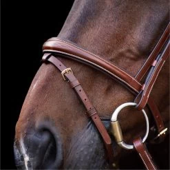2023 HV Polo Legacy Bridle 1201093500 - Brown Colour Brown -Harness Store 6921 202320HV20Polo20Legacy20Bridle20120109350020 20Brown204.700x700