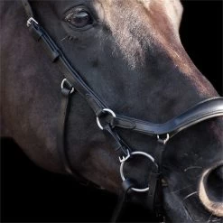 2023 HV Polo Legacy Anatomical Deluxe Bridle 1201093502 - Black 8 2023 HV Polo Legacy Anatomical Deluxe Bridle 1201093502 - Black -Harness Store 6922 83441d82d3952b782d1390d14729dec9282bc090 1201093502 9000 msideL.700x700