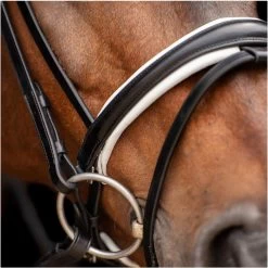 2023 HV Polo Legacy Deluxe Bridle 1201093501 - Black / White Colour Black/White -Harness Store 6924 202320HV20Polo20Legacy20Deluxe20Bridle20120109350120 20Black20White20A3.700x700