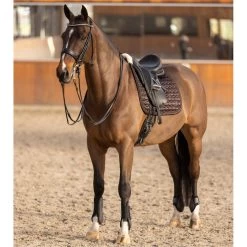 2023 HV Polo Franka Tendon And Fetlock Boots Set 2802093452 - Mocca -Harness Store 6935 202320HV20Polo20Franka20Tendon20And20Fetlock20Boots20Set20280209345220 20Mocca206.700x700