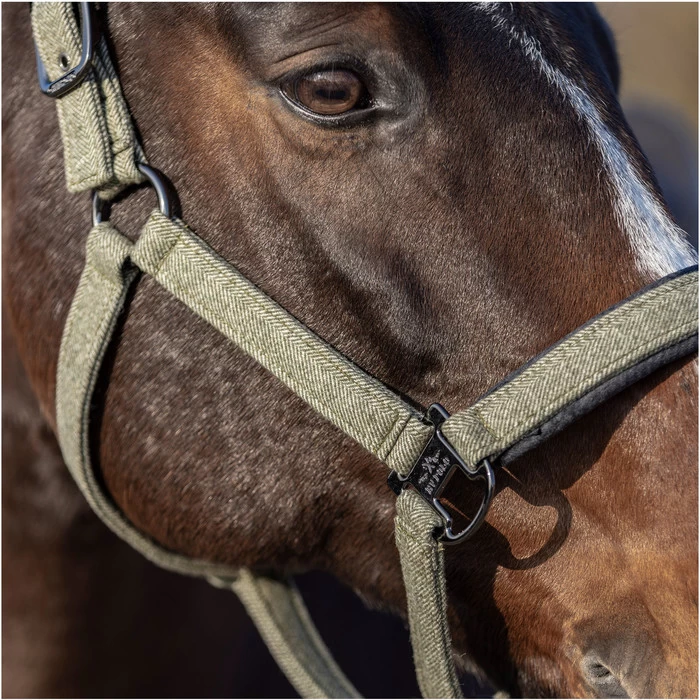 2023 HV Polo Francis Headcollar 1601093450 - Dark Oil Green 4 2023 HV Polo Francis Headcollar 1601093450 - Dark Oil Green - Image 2