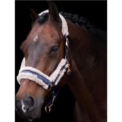 2023 HV Polo Welmoed Shine Headcollar 1601093452 - Navy Colour Navy -Harness Store 6943 4479fbad1324eab923fa7919ef64bb06ef5a2bbd 1601093452 5001 mfront.700x700