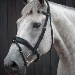2023 Henry James Saddlery Dressage Bridle HJ-BR-03 - Black Colour Black -Harness Store 6998 202320Henry20James20Saddlery20Dressage20Bridle20HJ BR 0320 20Black203.700x700
