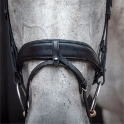 2023 Henry James Saddlery Dressage Bridle HJ-BR-03 - Black Colour Black -Harness Store 6998 202320Henry20James20Saddlery20Dressage20Bridle20HJ BR 0320 20Black204.700x700