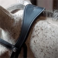 2023 Henry James Saddlery Dressage Bridle HJ-BR-03 - Black Colour Black -Harness Store 6998 202320Henry20James20Saddlery20Dressage20Bridle20HJ BR 0320 20Black205.700x700