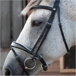 2023 Henry James Saddlery Patent Dressage Bridle With White Padding HJ-BR-07 - Black -Harness Store 7005 202320Henry20James20Saddlery20Patent20Dressage20Bridle20with20White20Padding20HJ BR 0720 20Black204.700x700