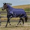 2022 Weatherbeeta Comfitec Essential Lite Plus Combo Neck Turnout Rug - Navy / Silver -Harness Store 843 1.700x700 2