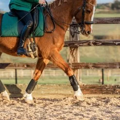 Equilibrium Tri-Zone All Sports Boots Black -Harness Store ASB20Black20Set20120Web.700x700