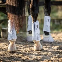 Harness Store -Harness Store ASB20White20Set20420Web.700x700