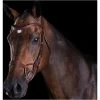 Collegiate Comfitec Training Bridle - Brown Colour Brown -Harness Store Collegiate Comfitec Training Bridle Brown.700x700