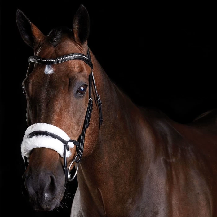 Collegiate Comfitec Sheepskin Bridle - Black Colour Black 3 Collegiate Comfitec Sheepskin Bridle - Black Colour Black