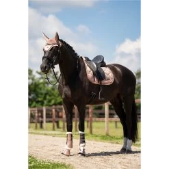 2023 Imperial Riding Lovely General Purpose Saddle Pad ZT73122000 - Rosy Colour Rosy 9 2023 Imperial Riding Lovely General Purpose Saddle Pad ZT73122000 - Rosy Colour Rosy -Harness Store DSC02970.700x700
