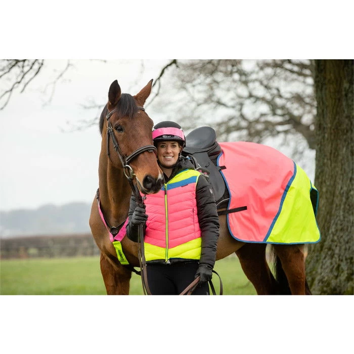 2022 Equisafety Charlotte Dujardin Hi Vis Multi Coloured Horse Sheet CD-MCQWS - Pink / Yellow 3 2022 Equisafety Charlotte Dujardin Hi Vis Multi Coloured Horse Sheet CD-MCQWS - Pink / Yellow