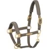 2021 Eskadron Sparkle Double Pin Head Collar 420155831 - Plaza Taupe Colour Plaza Taupe -Harness Store Eskadron20Sparkle20Double20Pin20Head20Collar2042015583120 20Plaza20Taupe.700x700
