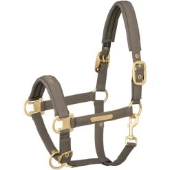 2021 Eskadron Sparkle Double Pin Head Collar 420155831 - Plaza Taupe Colour Plaza Taupe