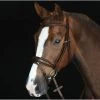 2022 Collegiate Mono Crown Padded Raised Flash Bridle 800902 - Brown Colour Brown -Harness Store Screenshot202022 09 1620at2015 37 0420Collegiate20Mono20Crown20Padded20Raised20Flash20Bridle.700x700