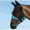 Weatherbeeta Comfitec Fine Mesh Mask With Ears & Nose - Black / Turquoise Colour Black/Turquoise 2 Weatherbeeta Comfitec Fine Mesh Mask With Ears & Nose - Black / Turquoise Colour Black/Turquoise -Harness Store Weatherbeeta Comfitec Fine Mesh Mask With Ears Nose BlackTurquoise.700x700