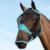Weatherbeeta Comfitec Fine Mesh Mask With Nose - Black / Turquoise Colour Black/Turquoise 2 Weatherbeeta Comfitec Fine Mesh Mask With Nose - Black / Turquoise Colour Black/Turquoise -Harness Store Weatherbeeta Comfitec Fine Mesh Mask With Nose Black Turquoise.700x700