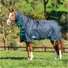 Weatherbeeta Comfitec Classic Medium Combo Neck Rug - Black / Green Colour Green/Black