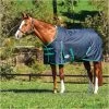 Weatherbeeta Comfitec Classic Medium Standard Neck Rug - Black / Green