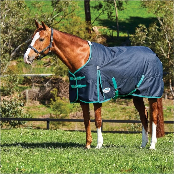 Weatherbeeta Comfitec Classic Medium Standard Neck Rug - Black / Green 3 Weatherbeeta Comfitec Classic Medium Standard Neck Rug - Black / Green