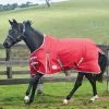 2022 Weatherbeeta Comfitec Classic Medium-Lite Standard Neck Turnout Rug - Red / Silver