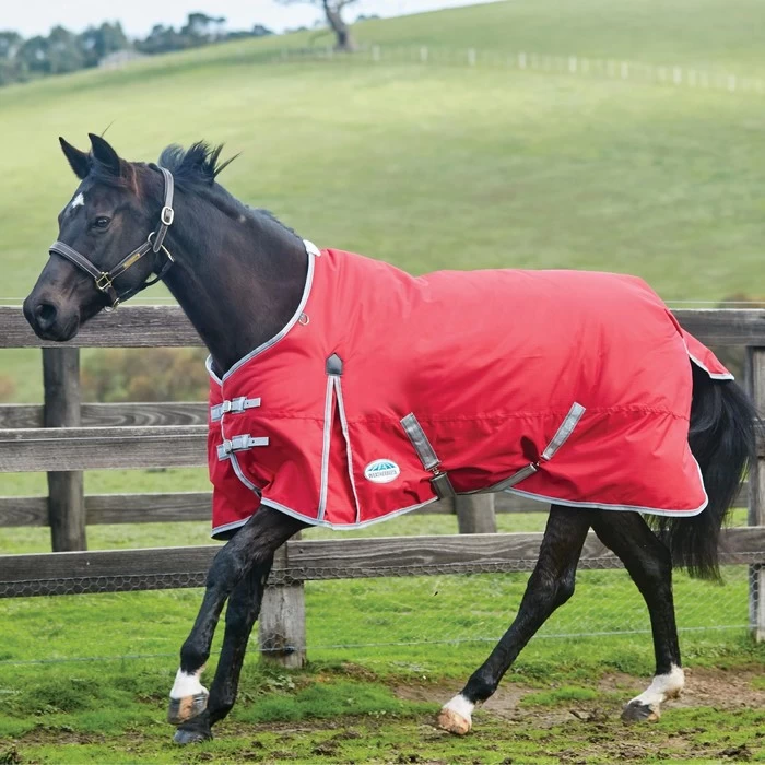 2022 Weatherbeeta Comfitec Classic Medium-Lite Standard Neck Turnout Rug - Red / Silver 3 2022 Weatherbeeta Comfitec Classic Medium-Lite Standard Neck Turnout Rug - Red / Silver