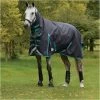 Weatherbeeta Comfitec Plus Dynamic II Medium Combo Neck Rug - Black / Aqua Colour Black/Aqua 1 Weatherbeeta Comfitec Plus Dynamic II Medium Combo Neck Rug - Black / Aqua Colour Black/Aqua -Harness Store Weatherbeeta20Comfitec20Plus20Dynamic20II20Combo20Neck20Medium20100691120 20Black.700x700