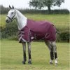 Weatherbeeta Comfitec Plus Dynamic II Lite Standard Neck Rug - Maroon / Grey -Harness Store Weatherbeeta20Comfitec20Plus20Dynamic20II20Standard20Neck20Lite20100691320 20Maroon.700x700