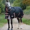 2022 Weatherbeeta Comfitec Premier & Therapy-Tec Medium Detach-A-Neck Turnout Rug - Black / Red -Harness Store Weatherbeeta20Comfitec20Premier20With20Therapy Tec20Detach A Neck20Medium20BlackSilverRed.700x700