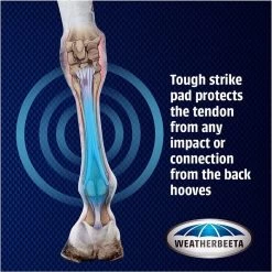 Weatherbeeta Cross Country Boots Front - Black -Harness Store Weatherbeeta20Cross20Country20Boots20Front20 20Black20graphi.700x700 1