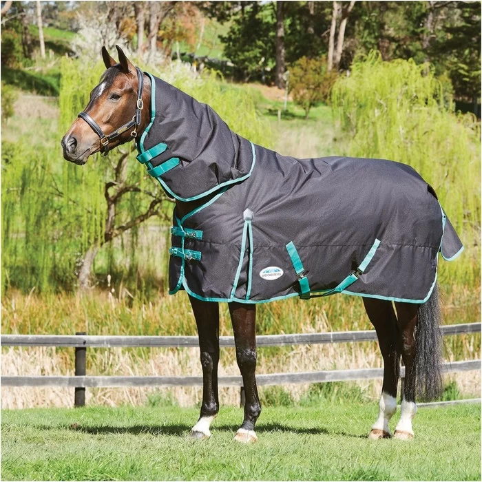Weatherbeeta Green-Tec 900D Lite Plus Detach-A-Neck Rug - Black / Bottle Green 3 Weatherbeeta Green-Tec 900D Lite Plus Detach-A-Neck Rug - Black / Bottle Green