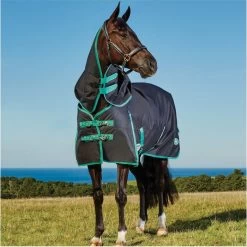 Weatherbeeta Green-Tec 900D Detatch-A-Neck Medium - Black / Bottle Green -Harness Store Weatherbeeta20Green Tec20900D20Deatch A Neck20Lite20Plus20 20Black20Bottle20Green208.700x700