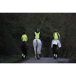 2022 Weatherbeeta Reflective Wrap Around Exercise Sheet 1004324 - Silver / Black -Harness Store Weatherbeeta20Reflective20Wrap20Around20Exercise20Sheet20Silver20Black201004324 lifestyle.700x700