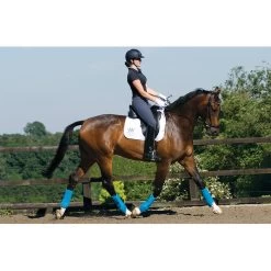 Woof Wear Training Wraps Berry 11 Woof Wear Training Wraps Berry -Harness Store Woof Wear Dressage Wraps Action.700x700 1