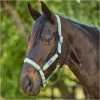 2023 Weatherbeeta Coordinate Headcollar 10020940 - Light Blue / Gold / Sand -Harness Store dfb57597176d9aaf0453c421069781a6.700x700