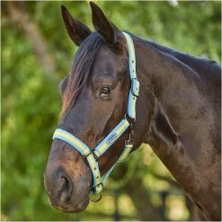 2023 Weatherbeeta Coordinate Headcollar 10020940 - Light Blue / Gold / Sand