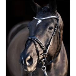 2023 HV Polo Legacy Deluxe Bridle 1201093501 - Black Colour Black