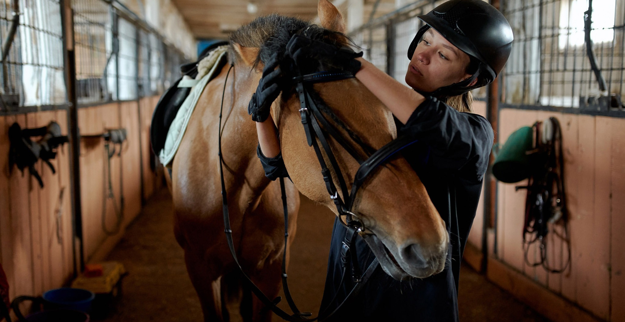 Harness Store -Harness Store 2